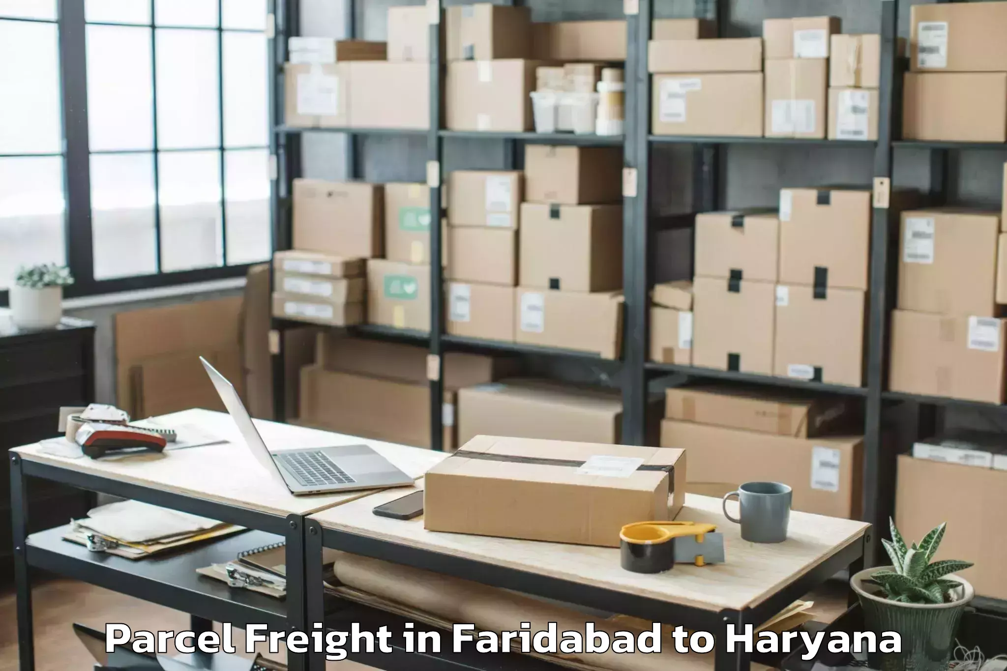 Book Your Faridabad to Hissar Airport Hss Parcel Freight Today